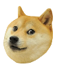 :doge: